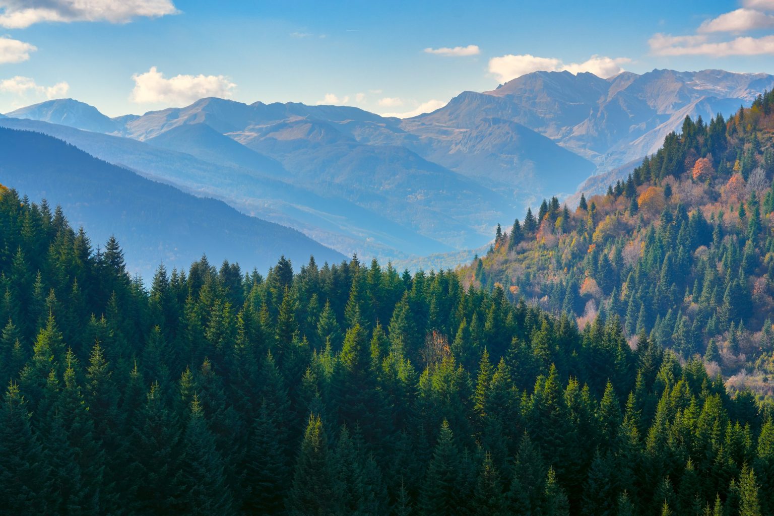 Panorama of forested Balkan mountain ridges