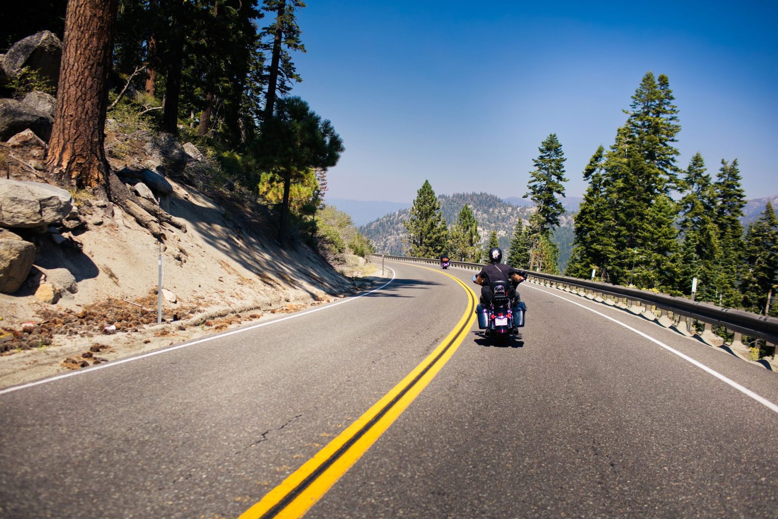 Motorcyclist riding a mountain highway through pine forest in the Sierra Nevada