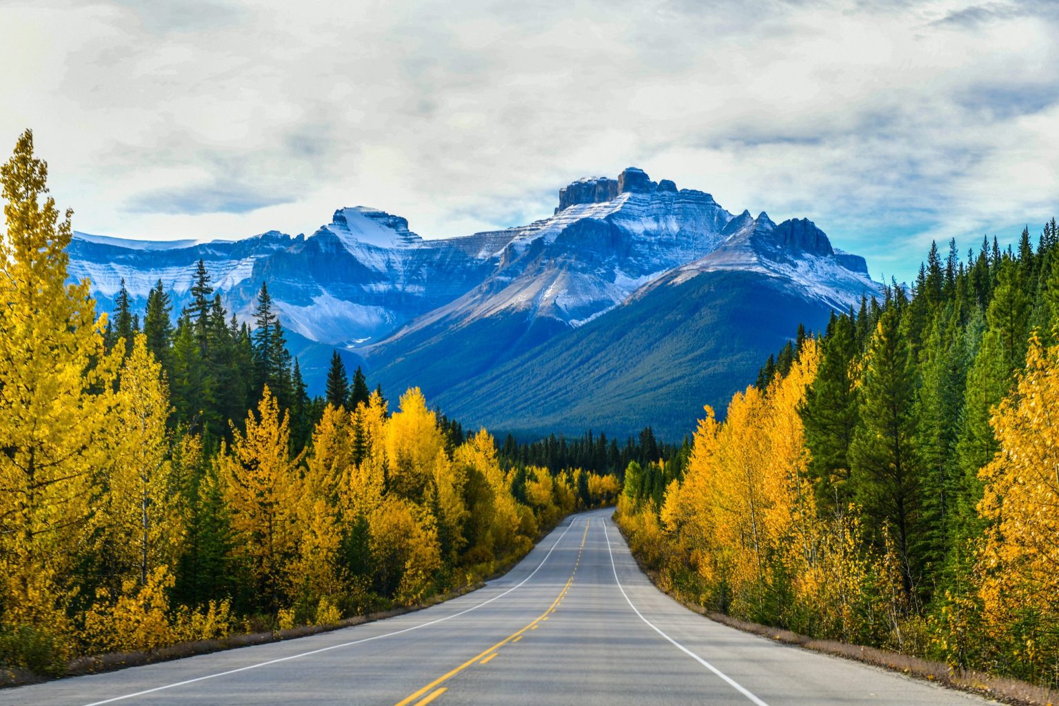 Icefields Parkway running between golden aspens and the Canadian Rockies