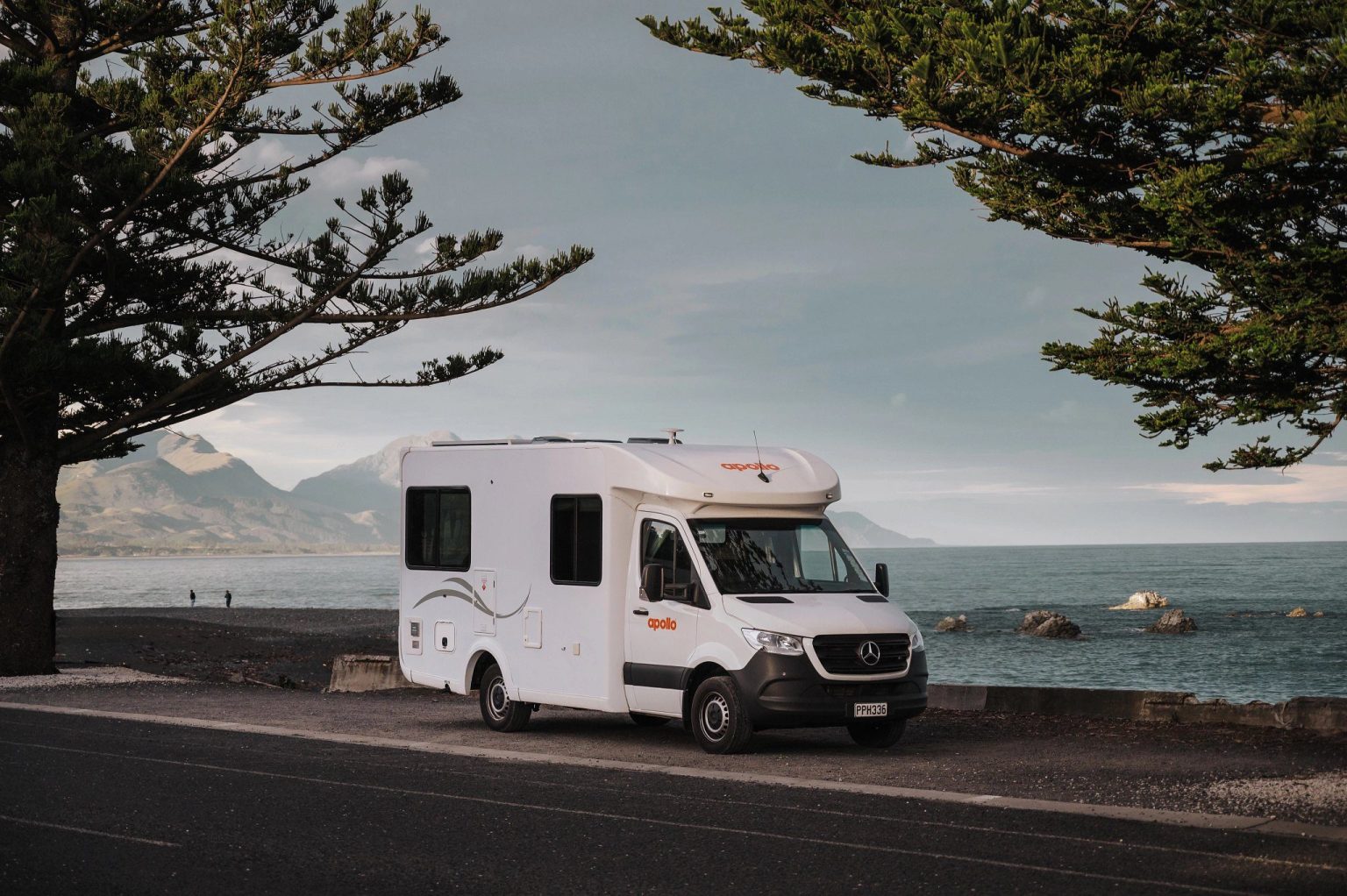 Motorhome parked by the sea beneath pine trees, Kaikoura, New Zealand's South Island