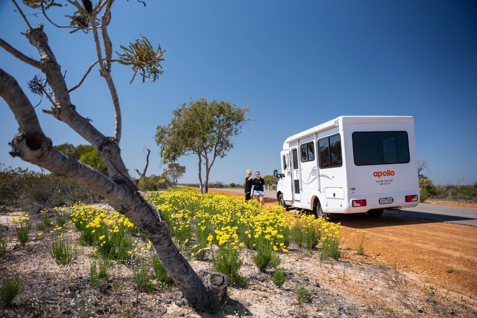 Motorhome parked among yellow wildflowers and trees, Kalbarri, Western Australia
