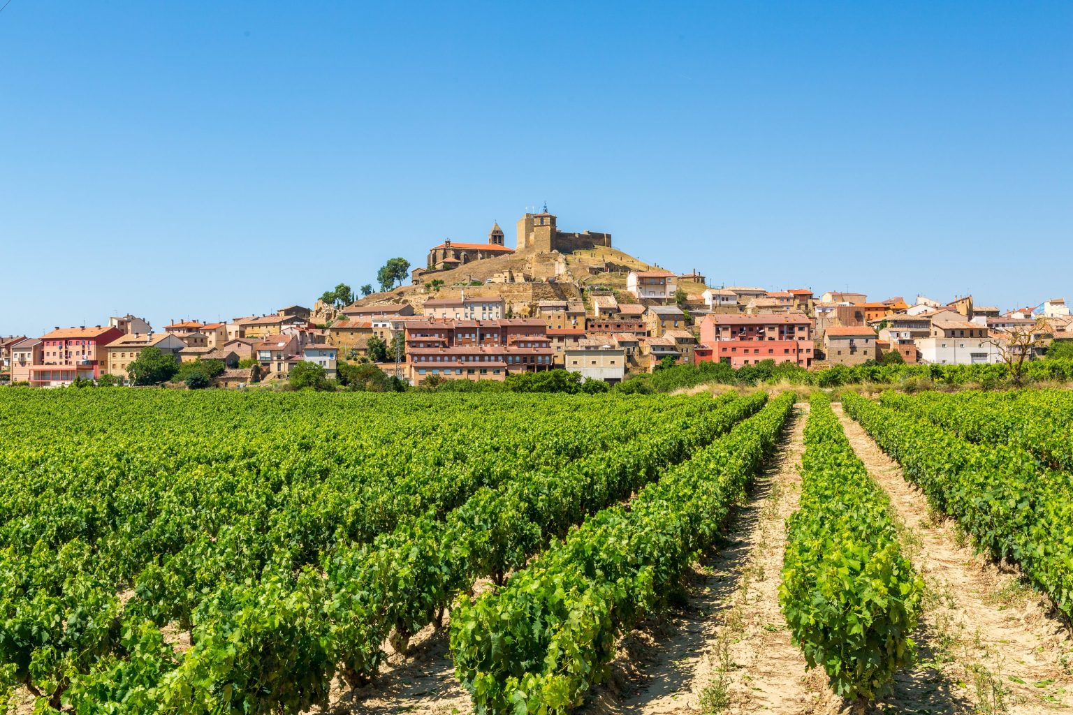 Hilltop village rising above rows of Rioja vineyards