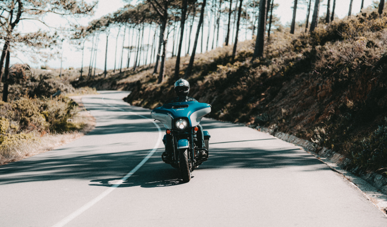 Rider on a Harley-Davidson on a pine-lined road in the Western Cape