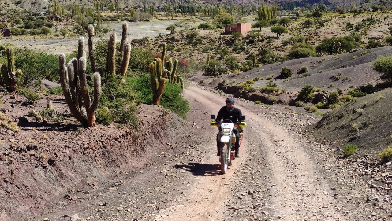 Motorcyclist riding a dirt road among tall cacti in a dry Bolivian valley