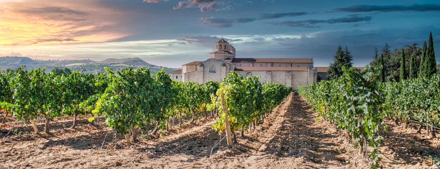 Vineyards and monastery on the Ribera del Duero wine route