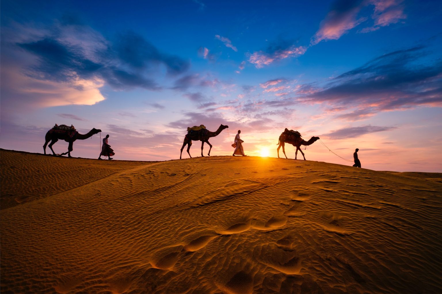Camel caravan in the Thar Desert dunes at sunset