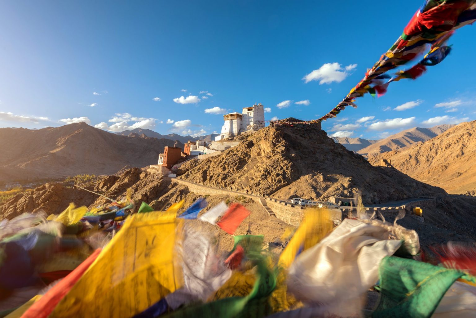 Prayer flags above Leh and its palace, Ladakh