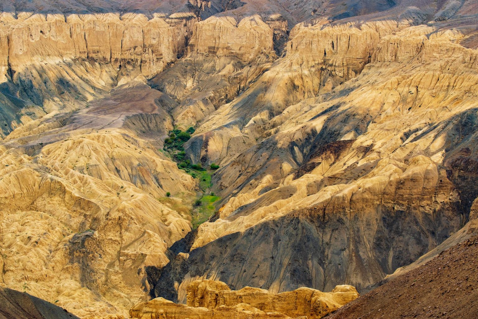 The eroded Moonland landscape at Lamayuru, Ladakh