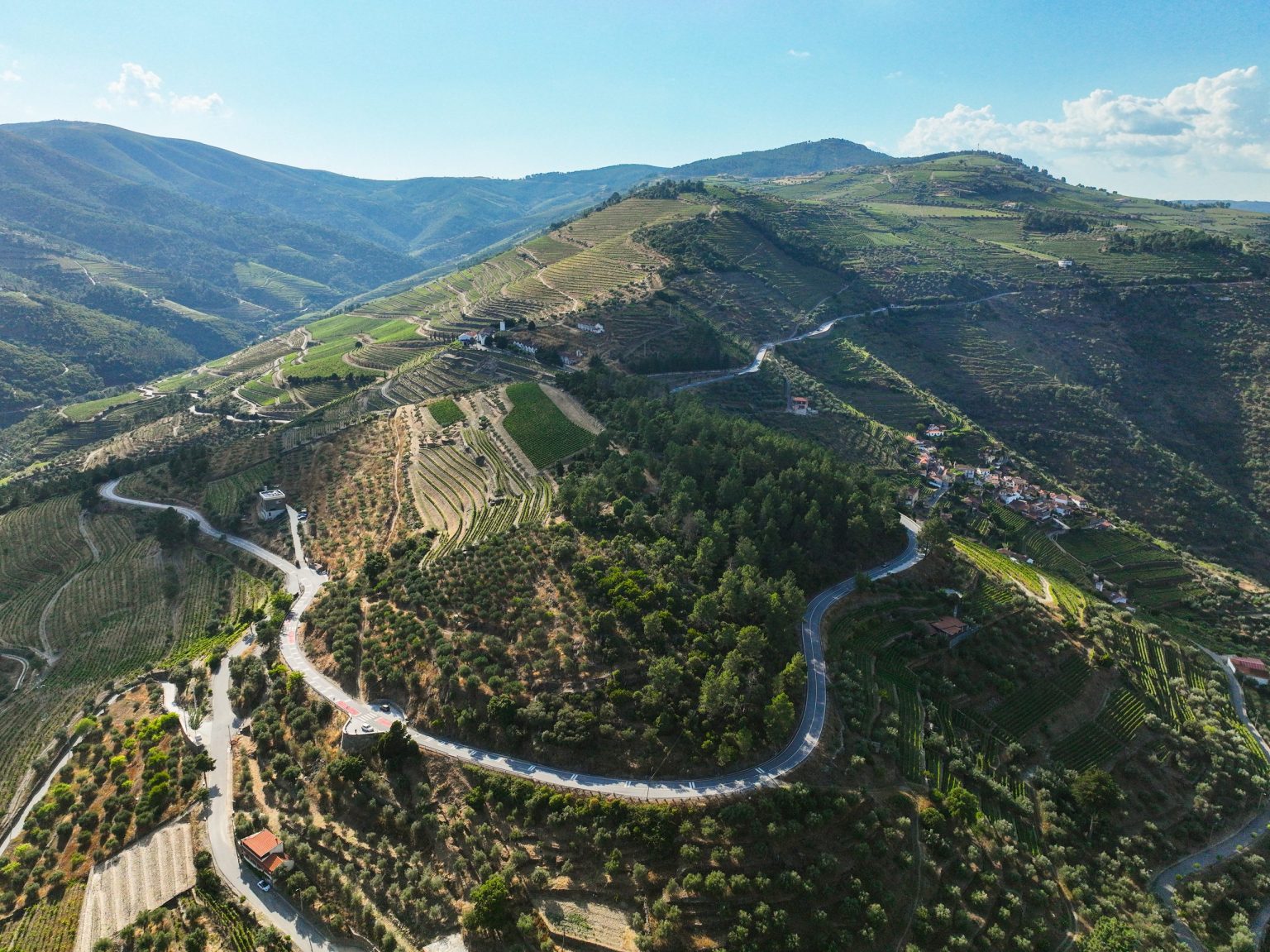 Terraced vineyards above the Douro river, Portugal