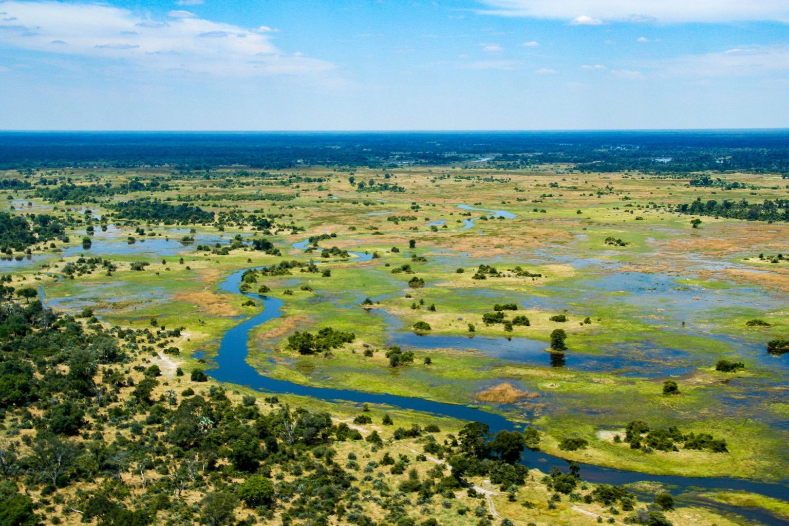 The Okavango Delta from the air, Botswana
