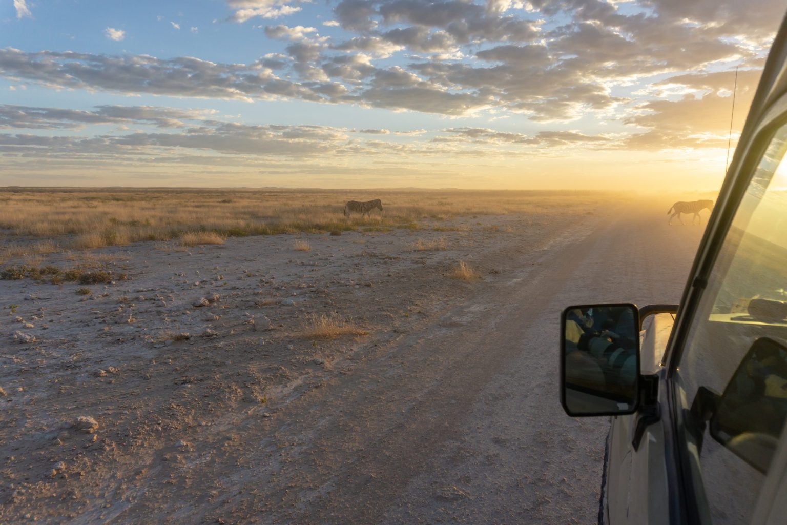 Zebra beside a gravel road at sunrise in Etosha, Namibia