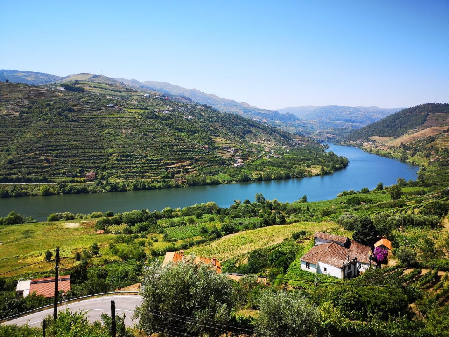 Terraced Vineyards, Douro Valley