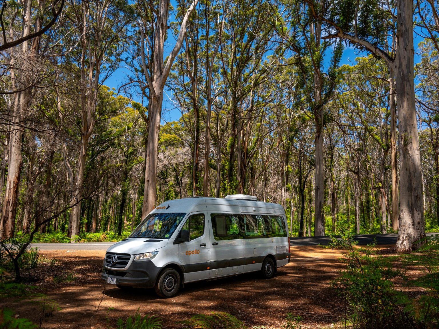 Campervan parked in a tall eucalyptus forest, Western Australia
