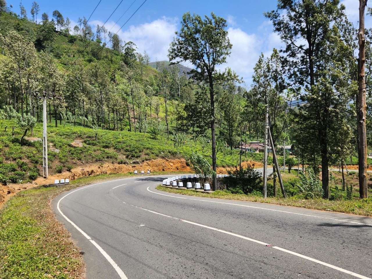 sri lanka grand tour - road in the central hills near nuwara eliya