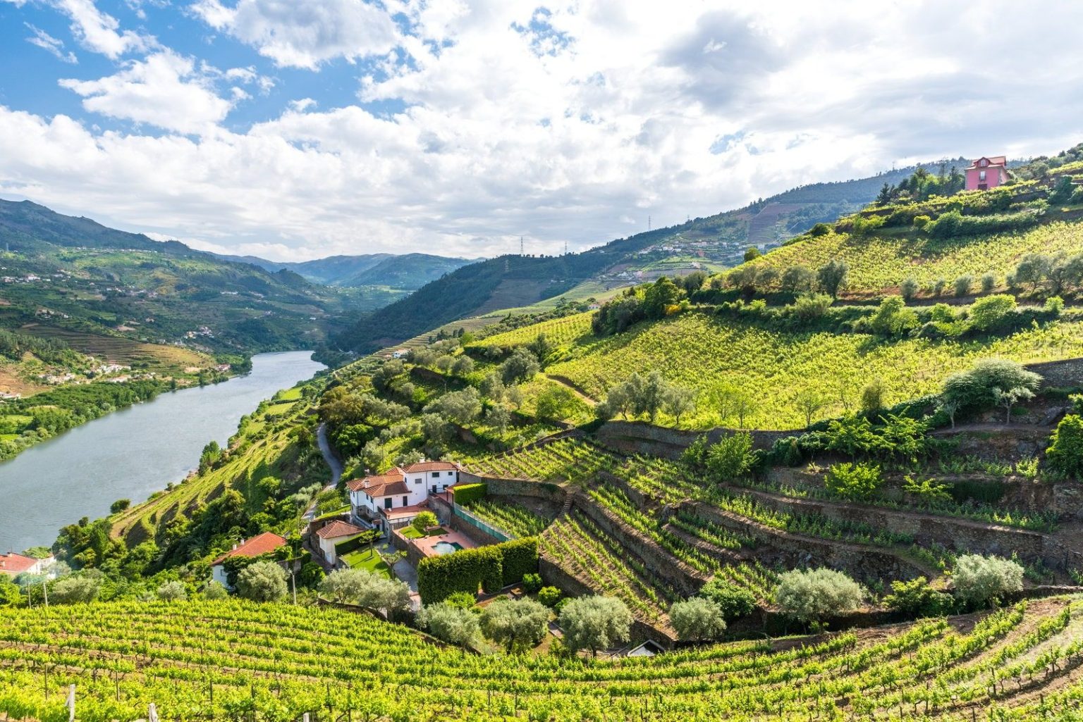 Terraced Vineyards, Douro Valley