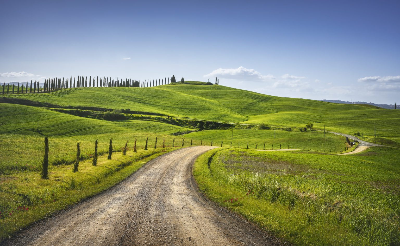 White road through cypresses and the Crete Senesi hills, Tuscany