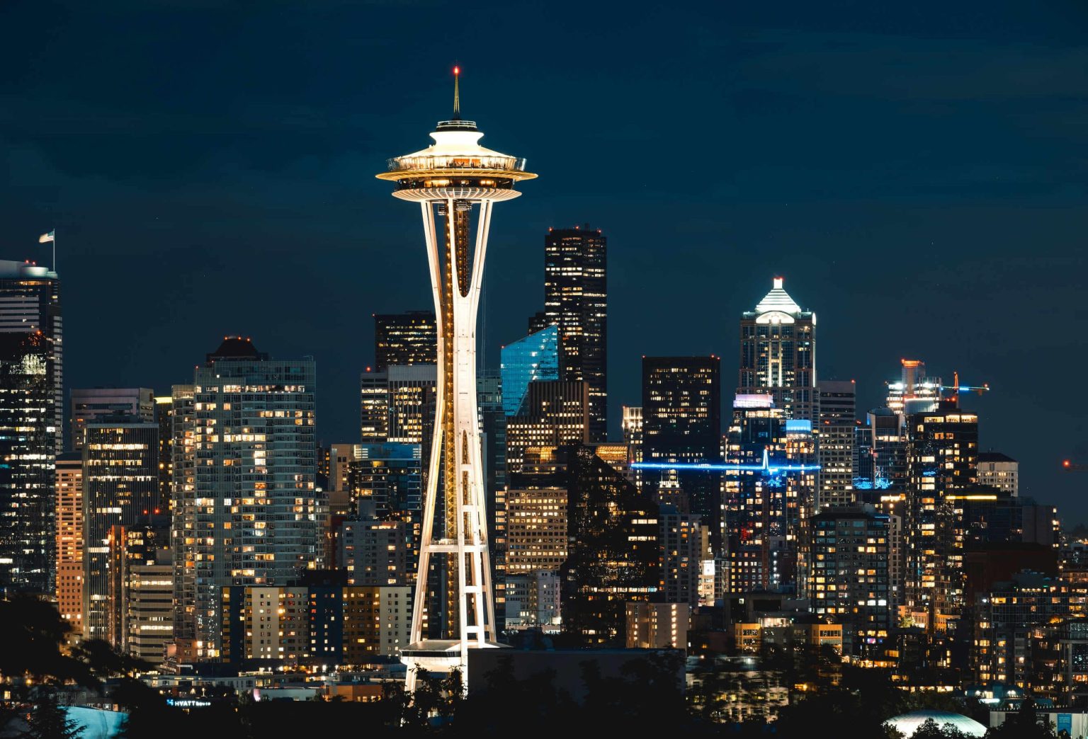 Seattle skyline and Space Needle lit up at night