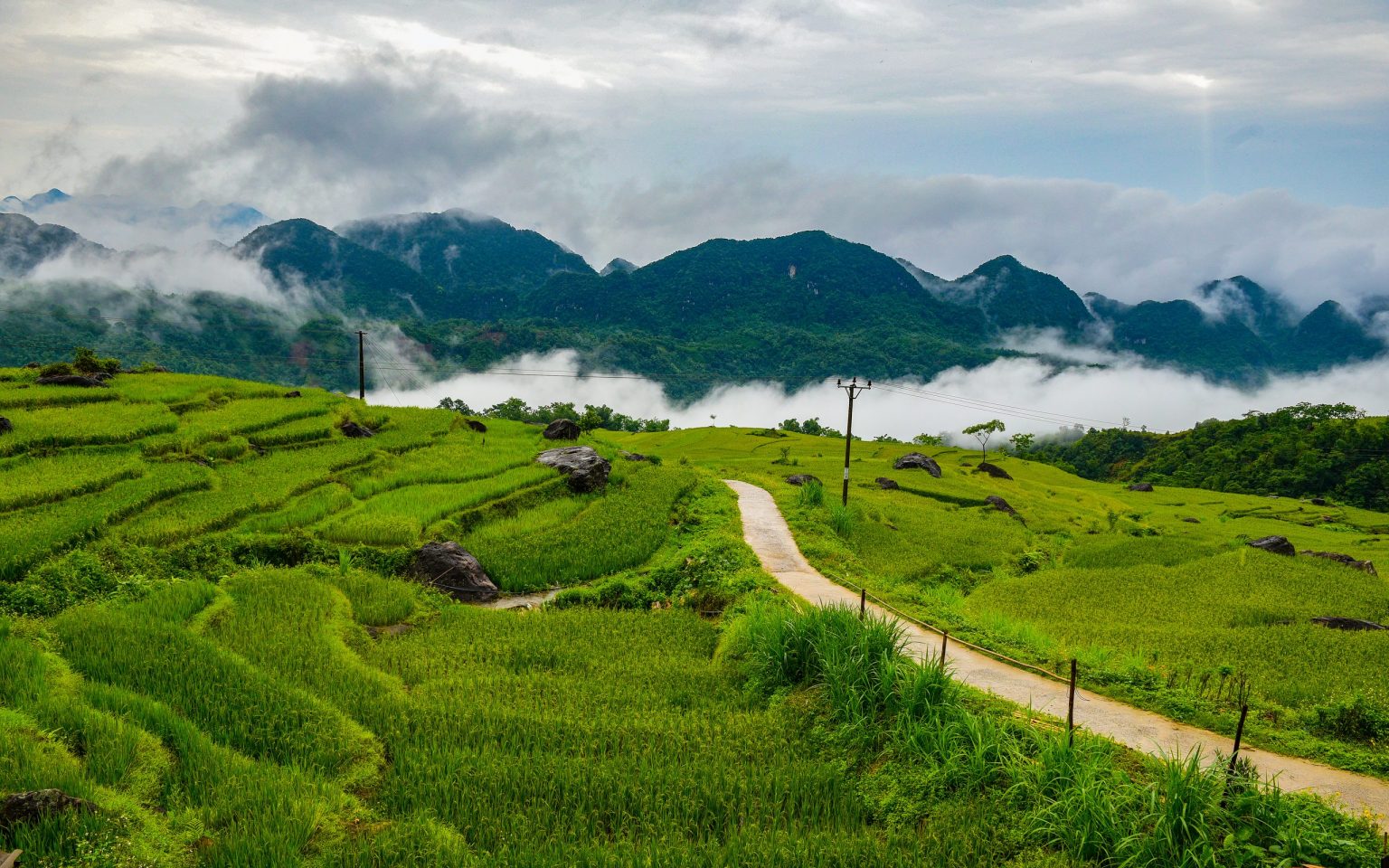 Pu Luong Nature Reserve, Thanh Hoa