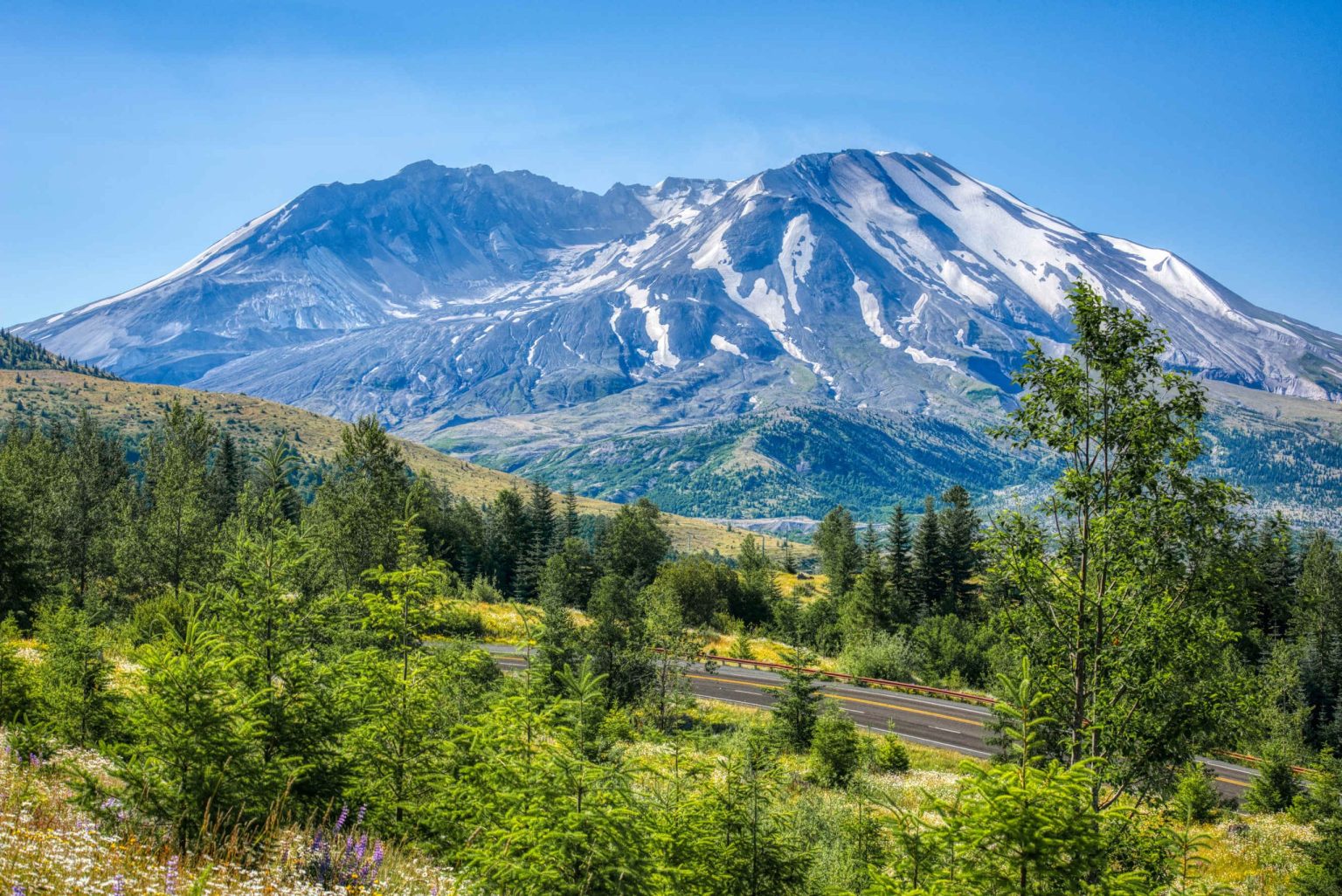 Mount St. Helens and green forest in Washington State