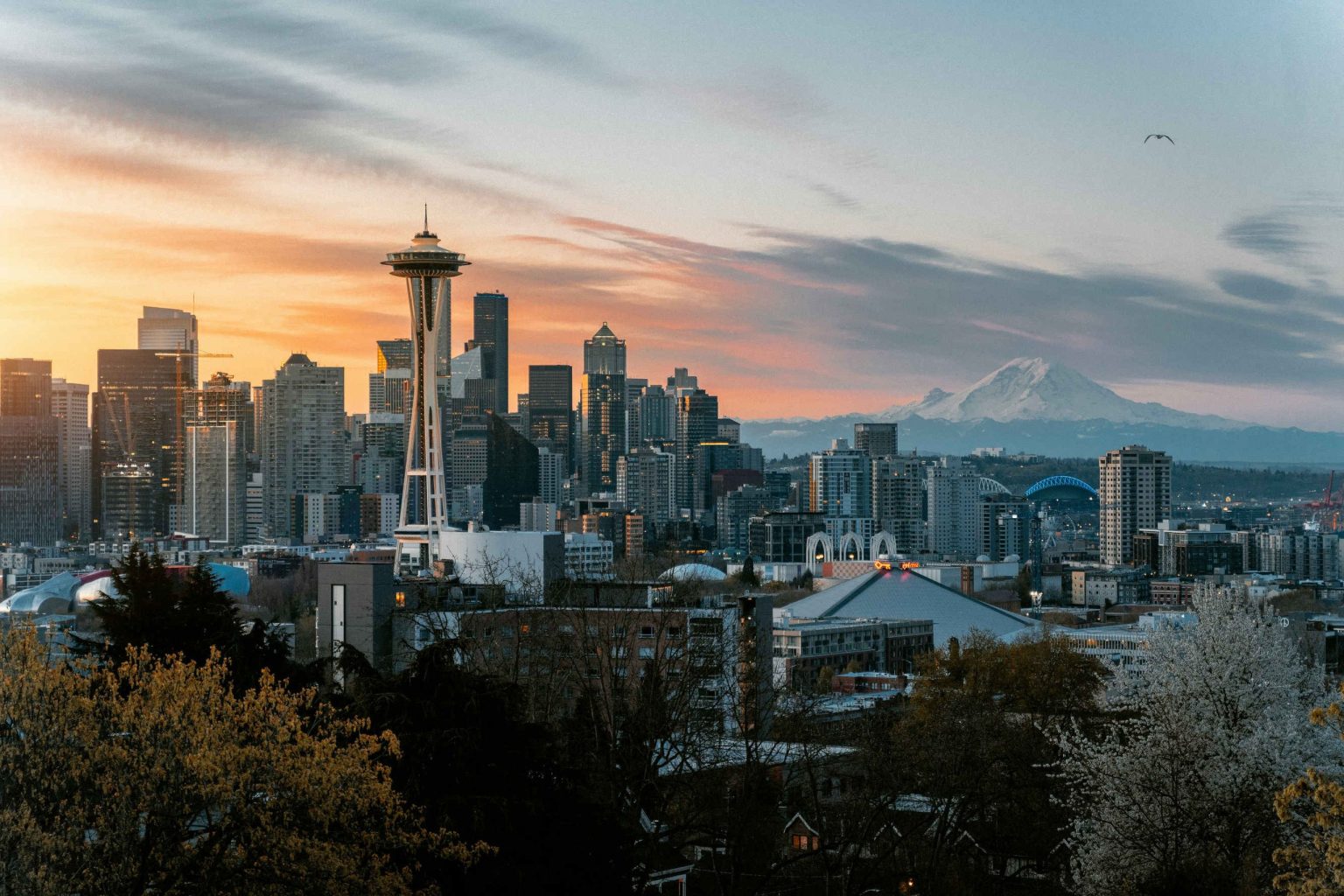 Seattle skyline and Space Needle with Mount Rainier behind