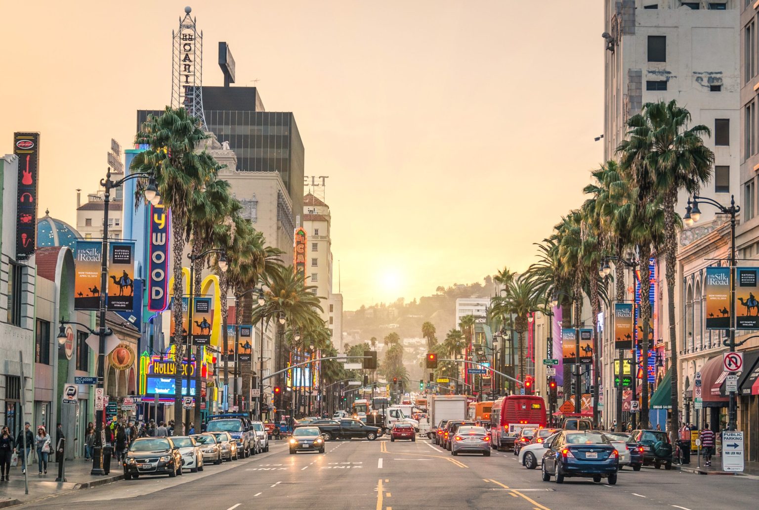 Palm trees lining a Los Angeles boulevard at sunset